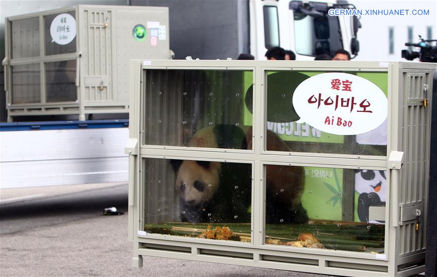 SOUTH KOREA-INCHEON-CHINA-GIANT PANDAS-ARRIVAL