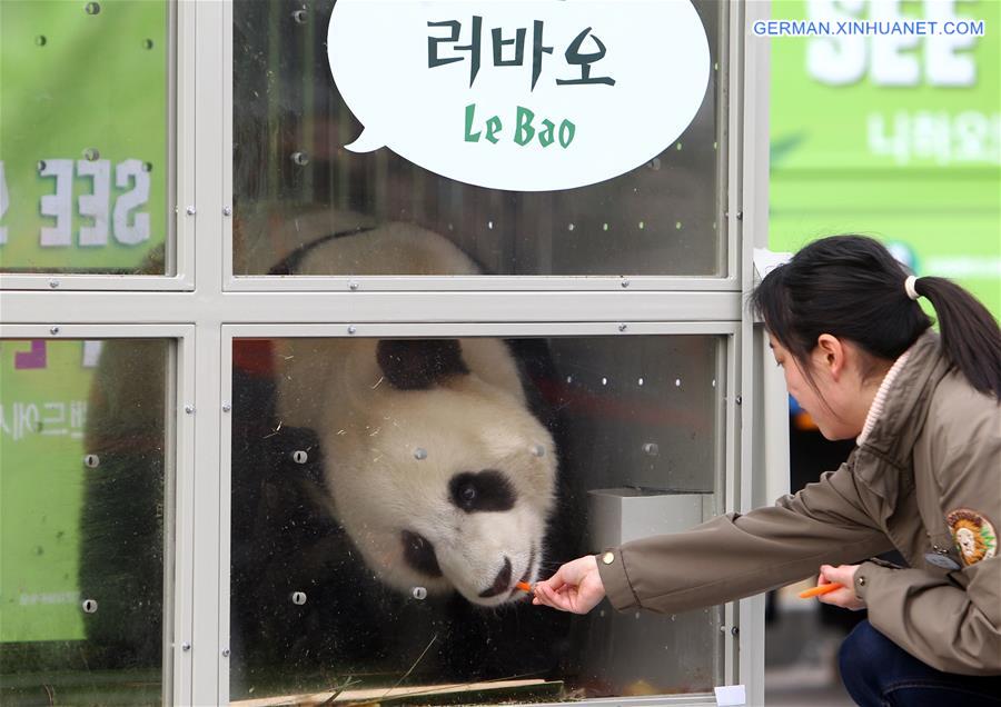 SOUTH KOREA-INCHEON-CHINA-GIANT PANDAS-ARRIVAL