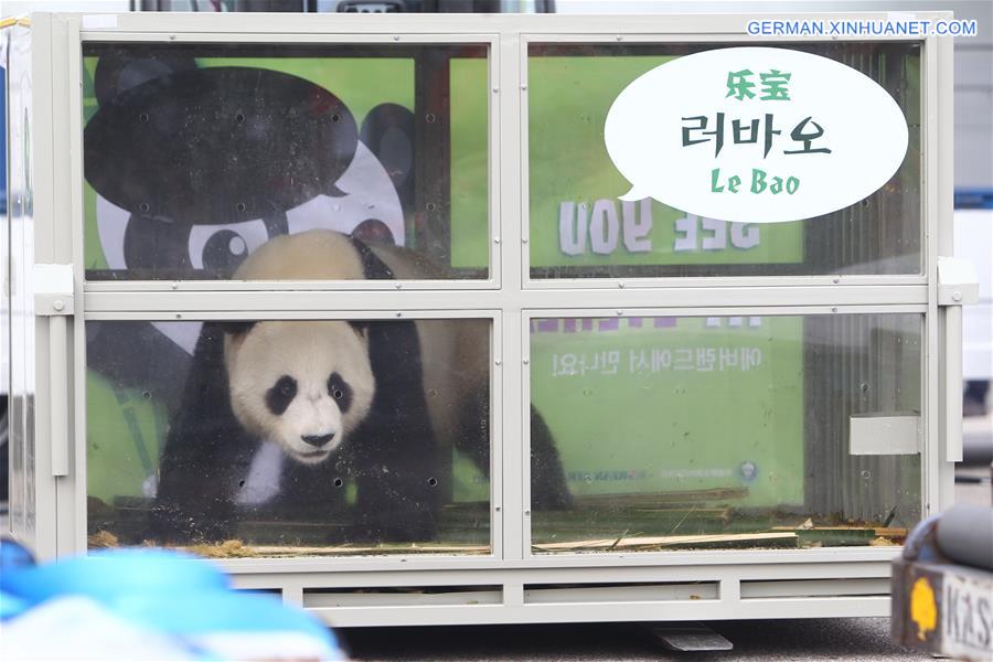 SOUTH KOREA-INCHEON-CHINA-GIANT PANDAS-ARRIVAL