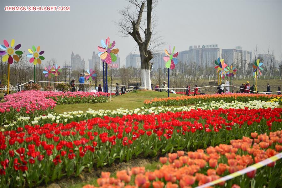 CHINA-NANCHANG-TULIP-DISPLAY (CN)