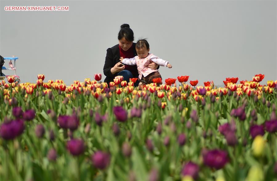 CHINA-NANCHANG-TULIP-DISPLAY (CN)