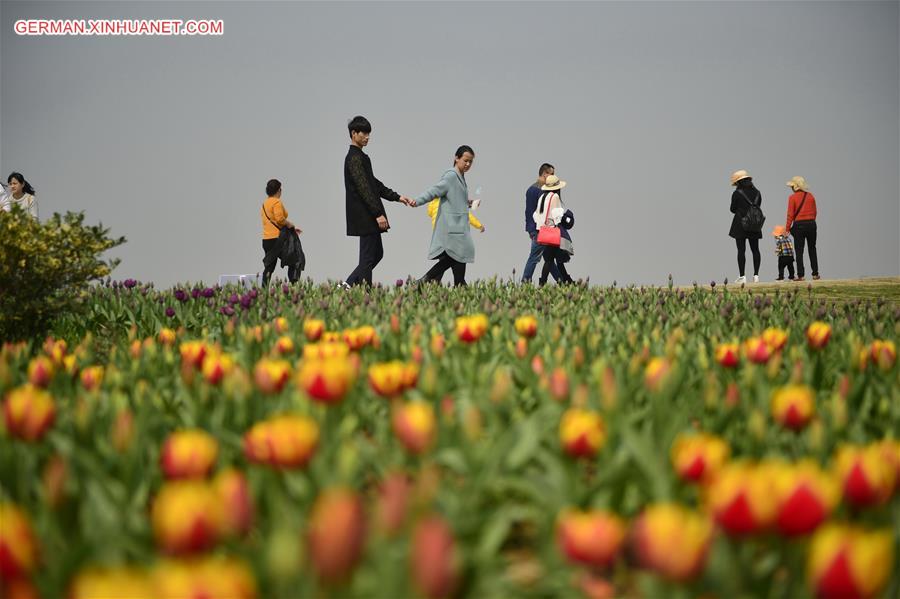 CHINA-NANCHANG-TULIP-DISPLAY (CN)