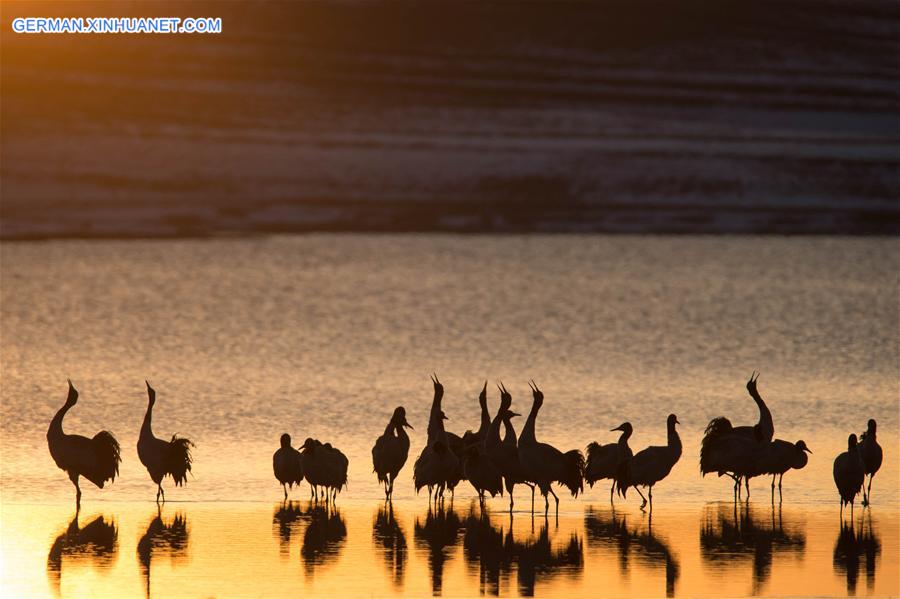 WEEKLY CHOICES OF XINHUA PHOTO