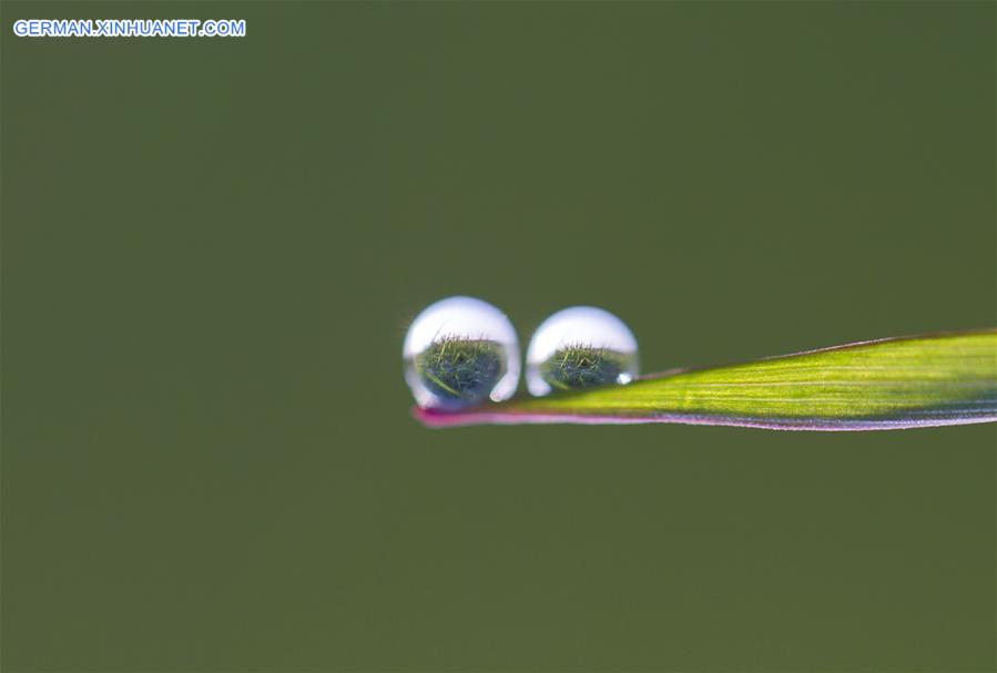 WEEKLY CHOICES OF XINHUA PHOTO