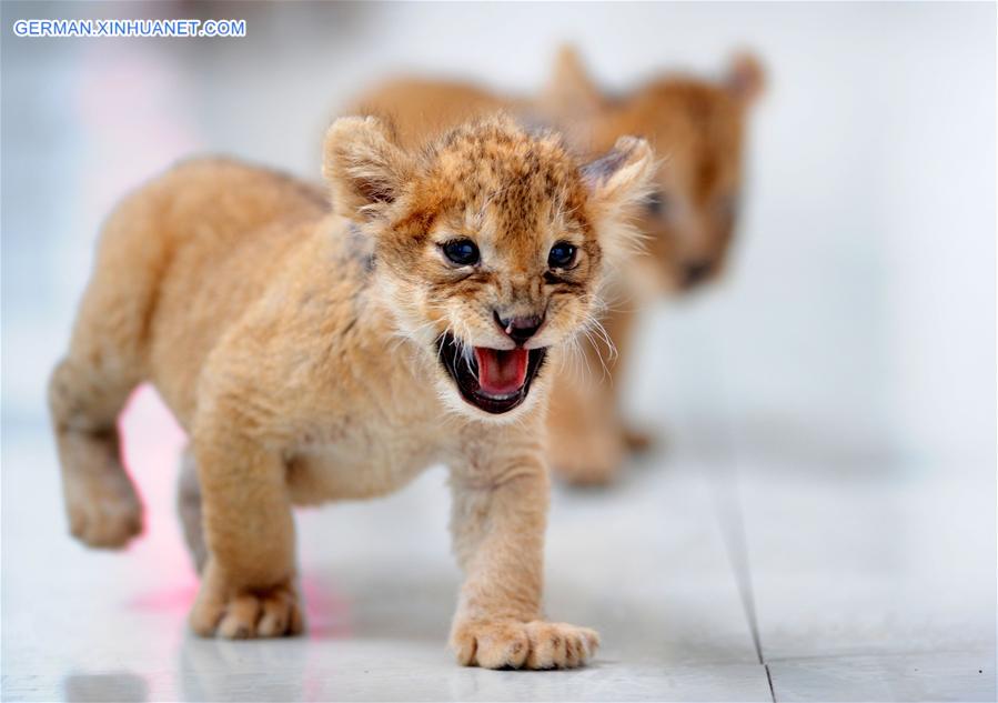 WEEKLY CHOICES OF XINHUA PHOTO