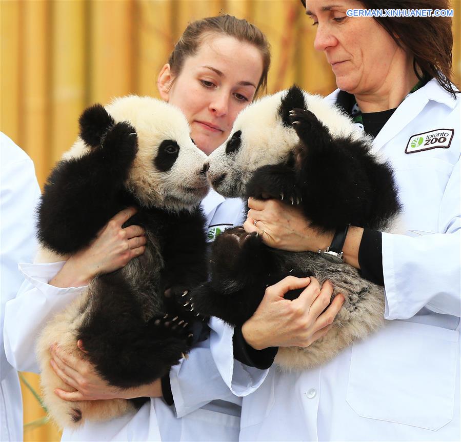 CANADA-TORONTO-TWIN PANDA CUBS-CHRISTENING