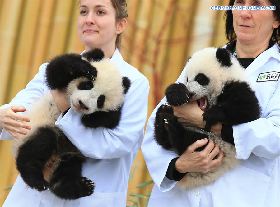 CANADA-TORONTO-TWIN PANDA CUBS-CHRISTENING