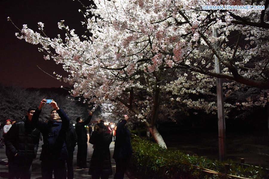 CHINA-WUHAN-CHERRY BLOSSOMS (CN)