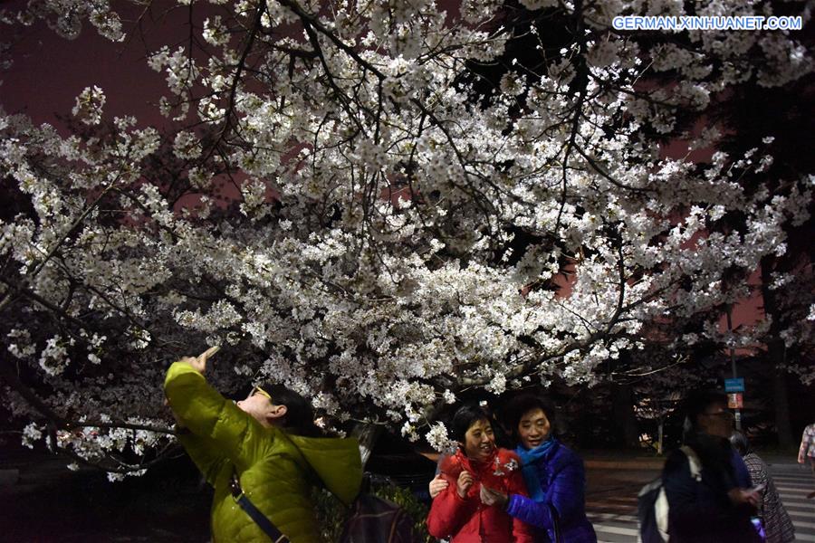 CHINA-WUHAN-CHERRY BLOSSOMS (CN)