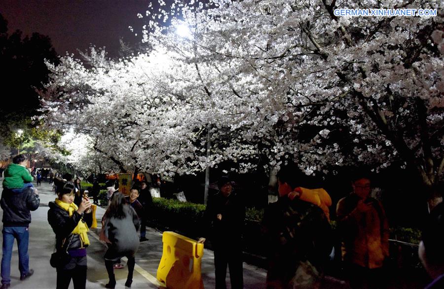 CHINA-WUHAN-CHERRY BLOSSOMS (CN)