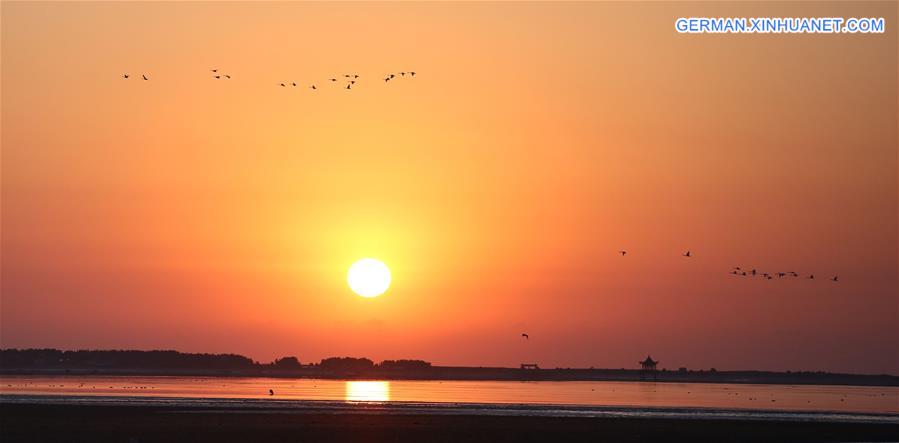 #CHINA-SHANDONG-SUNRISE-SWAN(CN) 