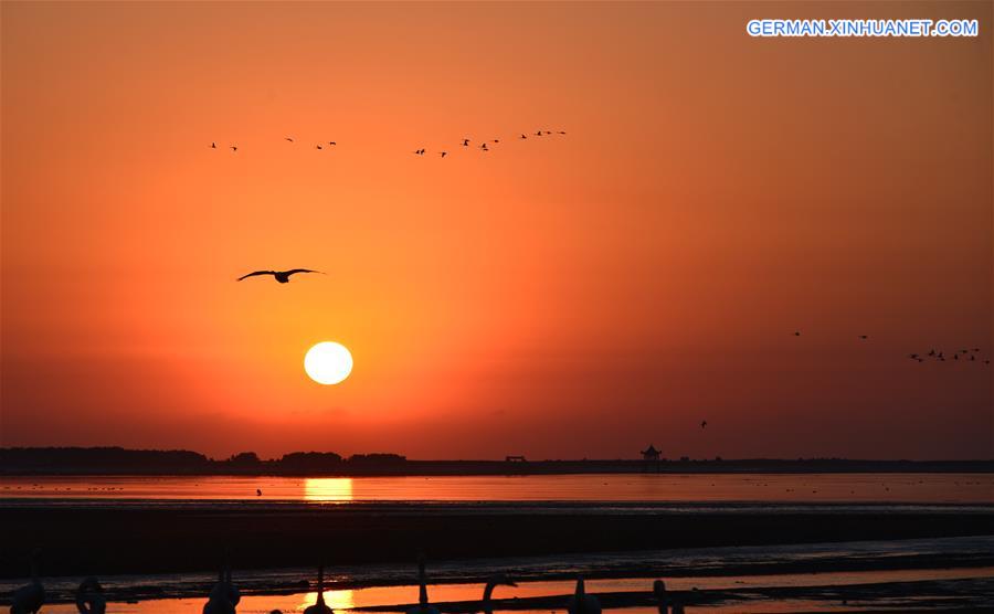 #CHINA-SHANDONG-SUNRISE-SWAN(CN) 