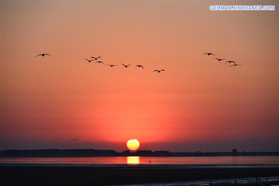 #CHINA-SHANDONG-SUNRISE-SWAN(CN) 