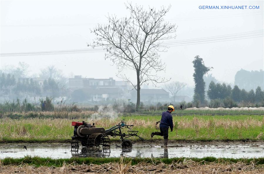 CHINA-GUANGXI-SRPING PLOWING (CN)