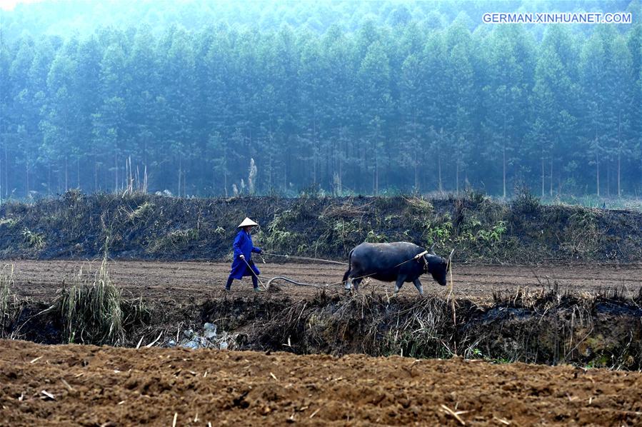 CHINA-GUANGXI-SRPING PLOWING (CN)