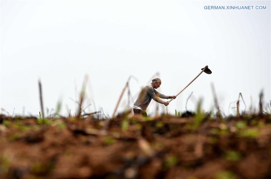 CHINA-GUANGXI-SRPING PLOWING (CN)