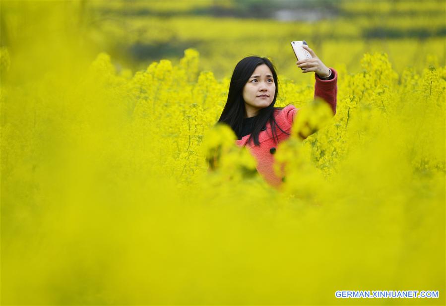 #CHINA-RAPE FLOWERS-SCENERY (CN)