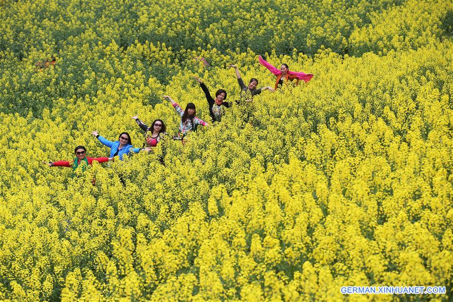 #CHINA-RAPE FLOWERS-SCENERY (CN)