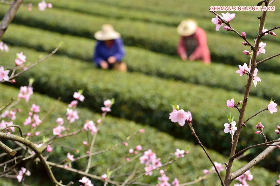 WEEKLY CHOICES OF XINHUA PHOTO