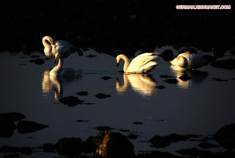 WEEKLY CHOICES OF XINHUA PHOTO