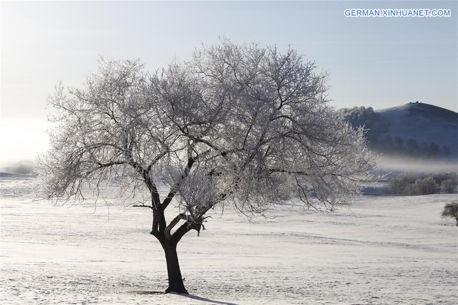 #CHINA-INNER MONGOLIA-RIME (CN) 