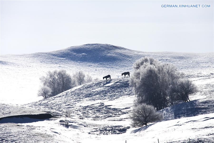 #CHINA-INNER MONGOLIA-RIME (CN) 