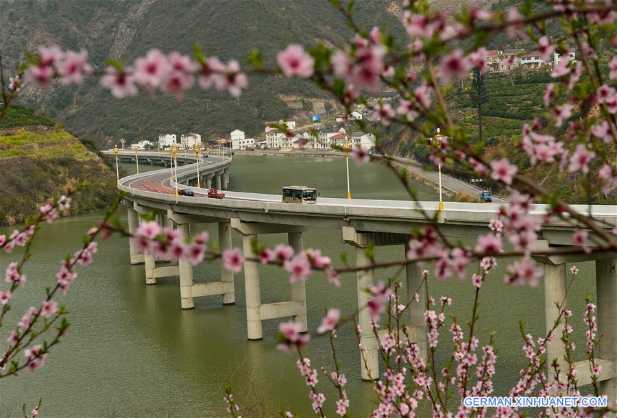 #CHINA-SPRING-SCENERY(CN)