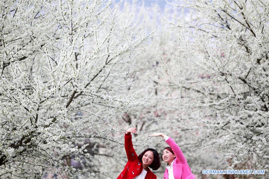 #CHINA-SPRING-SCENERY(CN)