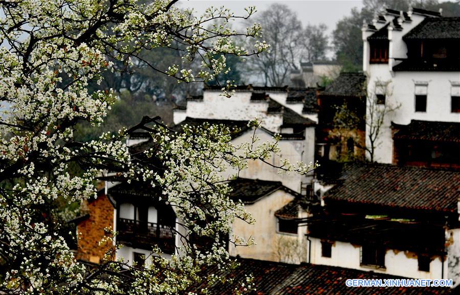 #CHINA-SPRING-SCENERY(CN)