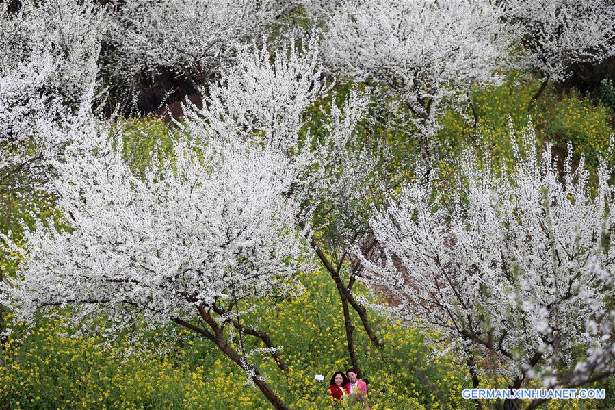 #CHINA-SPRING-SCENERY(CN)