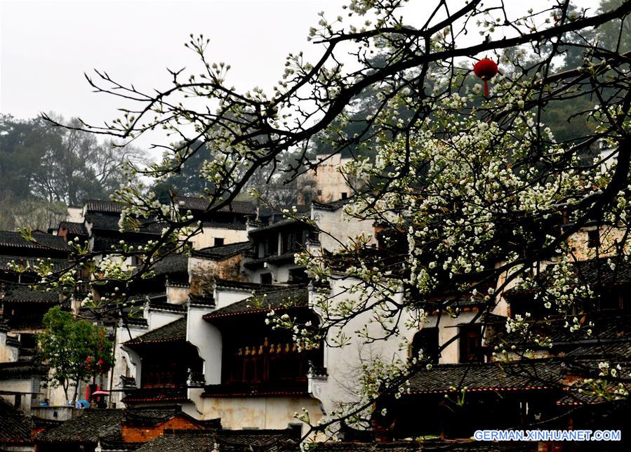 #CHINA-SPRING-SCENERY(CN)