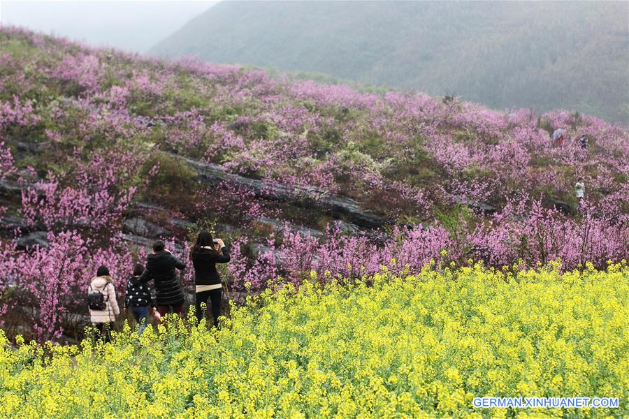 #CHINA-SPRING-SCENERY(CN)