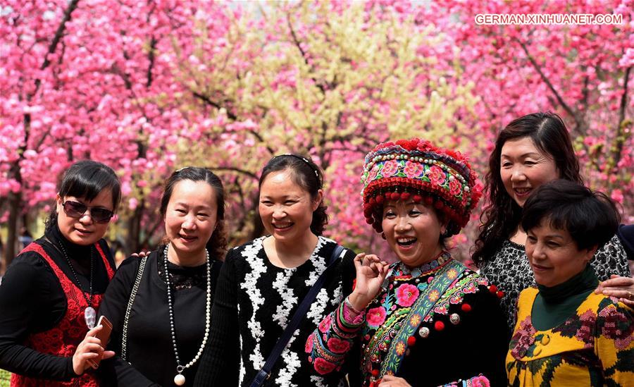 CHINA-KUNMING-CHERRY BLOSSOM (CN)