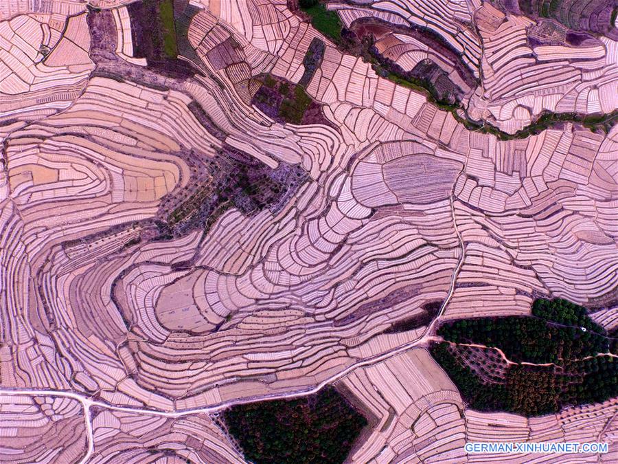 CHINA-GUANGXI-BAISE-WATERMELON TERRACES (CN)