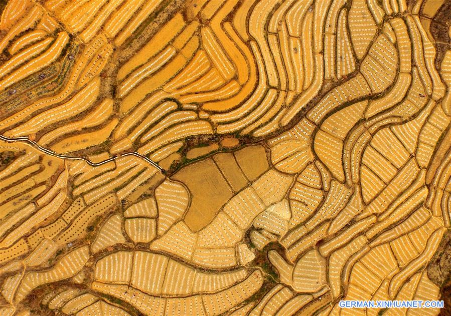 CHINA-GUANGXI-BAISE-WATERMELON TERRACES (CN)