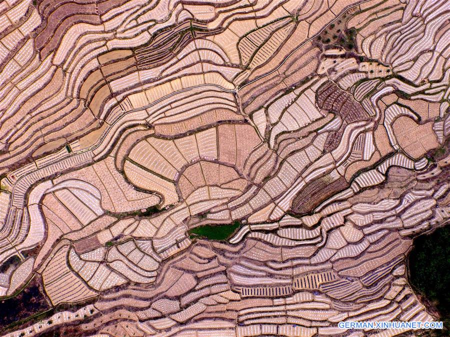 CHINA-GUANGXI-BAISE-WATERMELON TERRACES (CN)