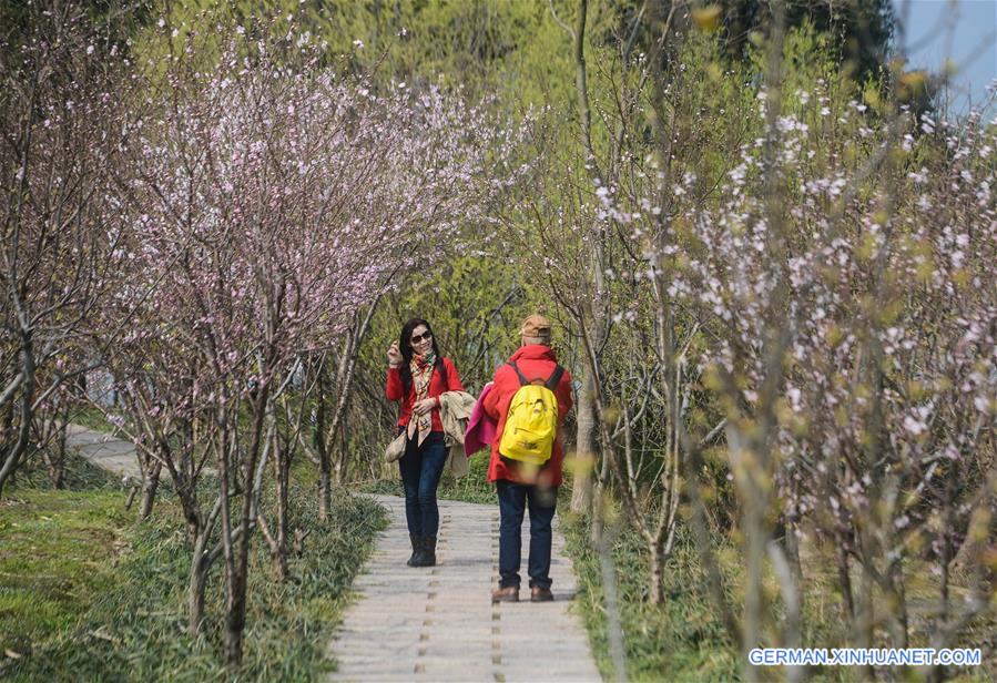 CHINA-ZHEJIANG-SPRING SCENERY (CN)