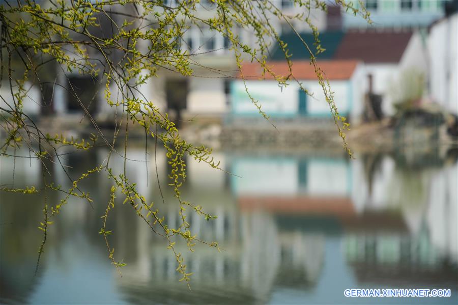 CHINA-ZHEJIANG-SPRING SCENERY (CN)