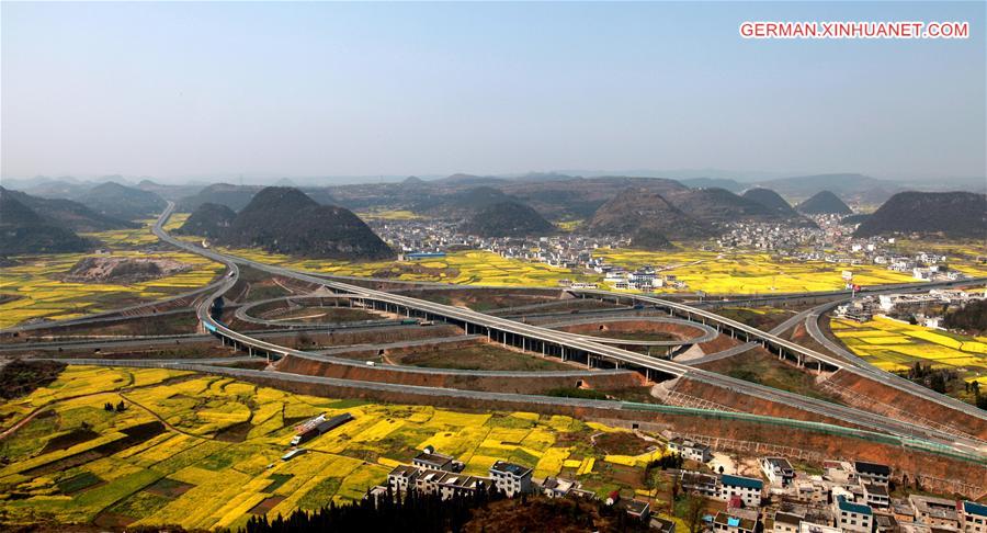 #CHINA-GUIZHOU-ANSHUN-RAPE FLOWERS (CN)