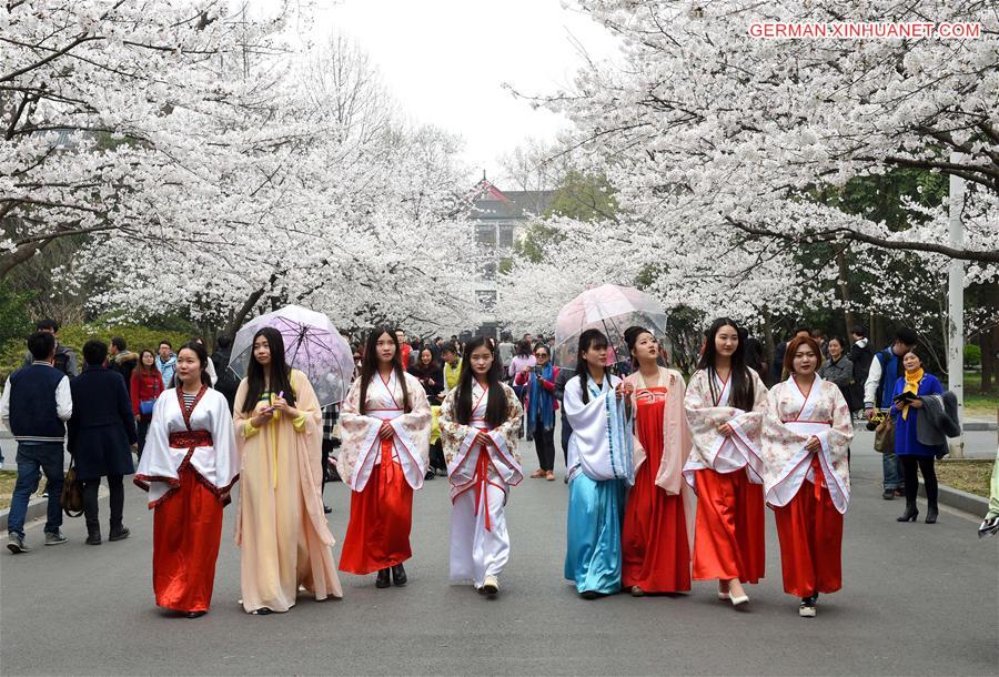 CHINA-NANJING-CHERRY BLOSSOM (CN) 