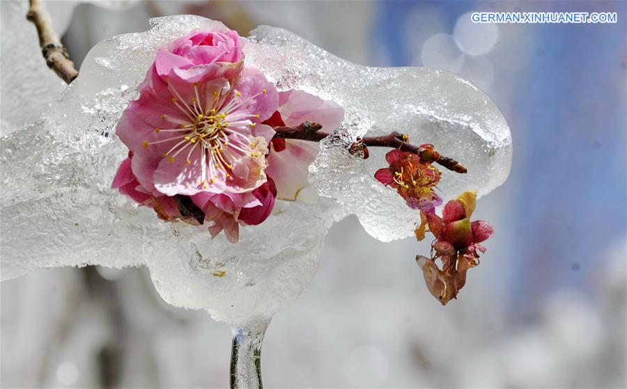 CHINA-LHASA-WEATHER (CN)