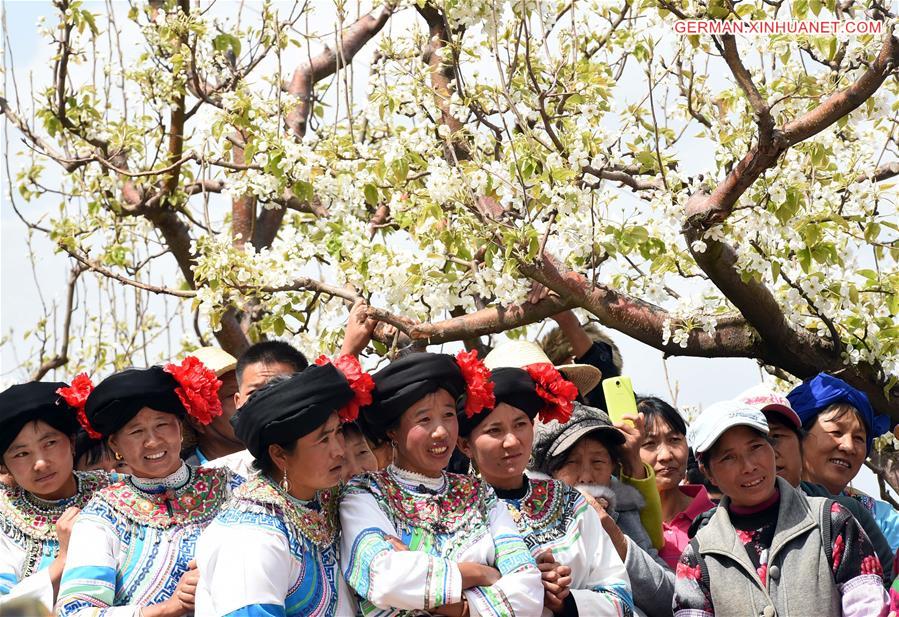 CHINA-YUNNAN-WEISHAN-PEAR BLOSSOM FESTIVAL(CN)
