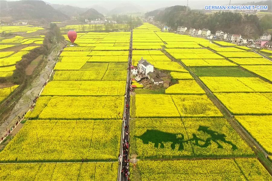 #CHINA-HUBEI-YICHANG-RAPE FLOWER-SCENERY (CN)