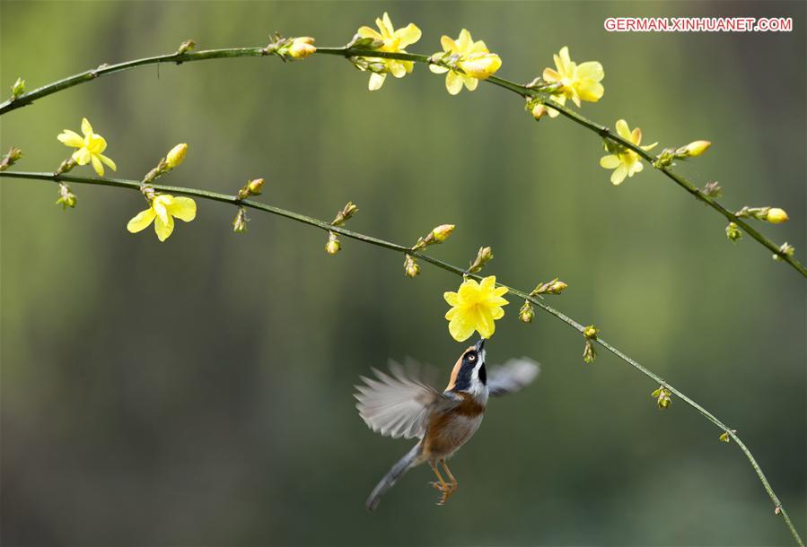 XINHUA PHOTO WEEKLY CHOICES 