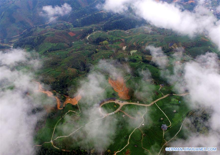 #CHINA-GUANGXI-LANDSCAPE (CN)