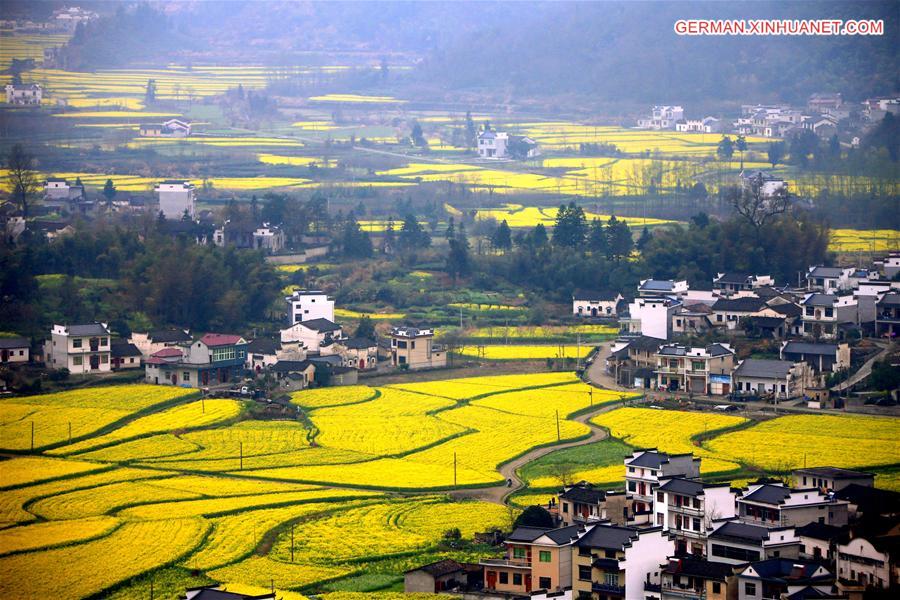 #CHINA-ANHUI-HUANGSHAN-SCENERY (CN)