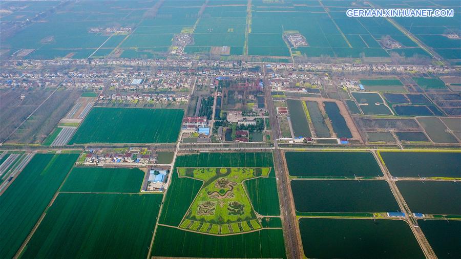 CHINA-NANJING-RAPE FLOWER-PATTERN (CN)