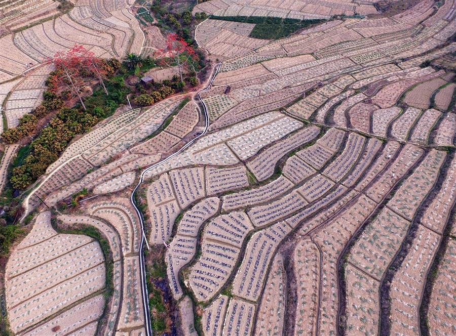 #CHINA-GUANGXI-LANDSCAPE (CN)