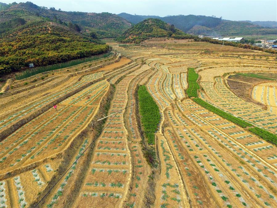 #CHINA-GUANGXI-LANDSCAPE (CN)