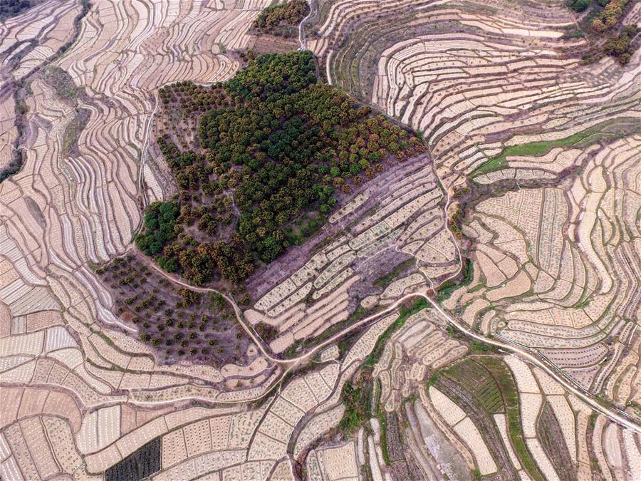 #CHINA-GUANGXI-LANDSCAPE (CN)